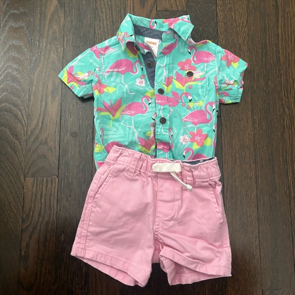 0-3m Gymboree Flamingo Button Up and Shorts Set - Picture 2 of 5